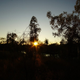 Illustration for article titled AWOL Around Australia... Part 43. Lorella Springs Station.